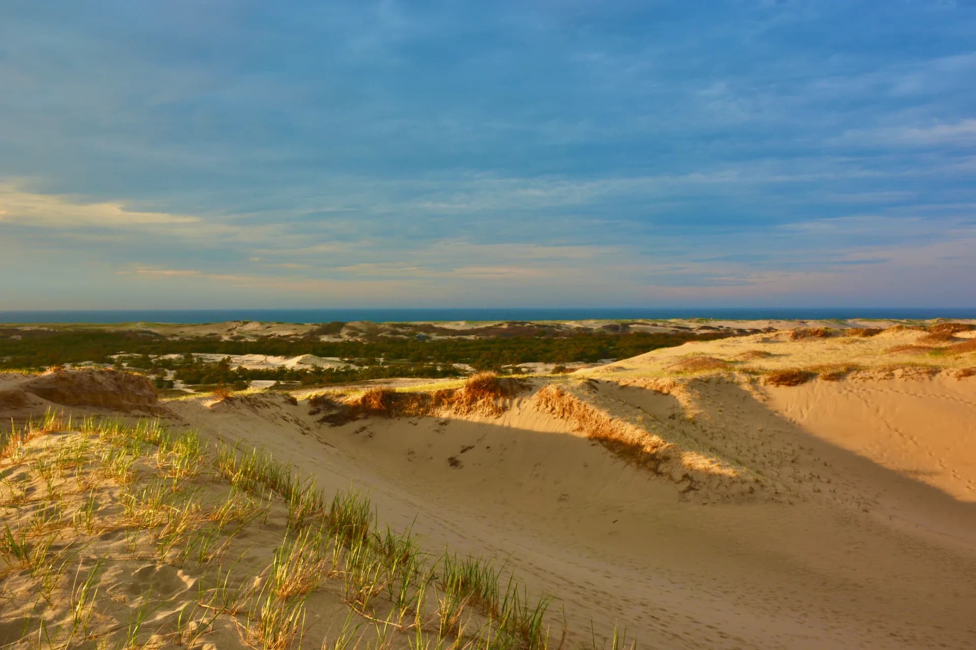 Interior shot of a modern kitchen