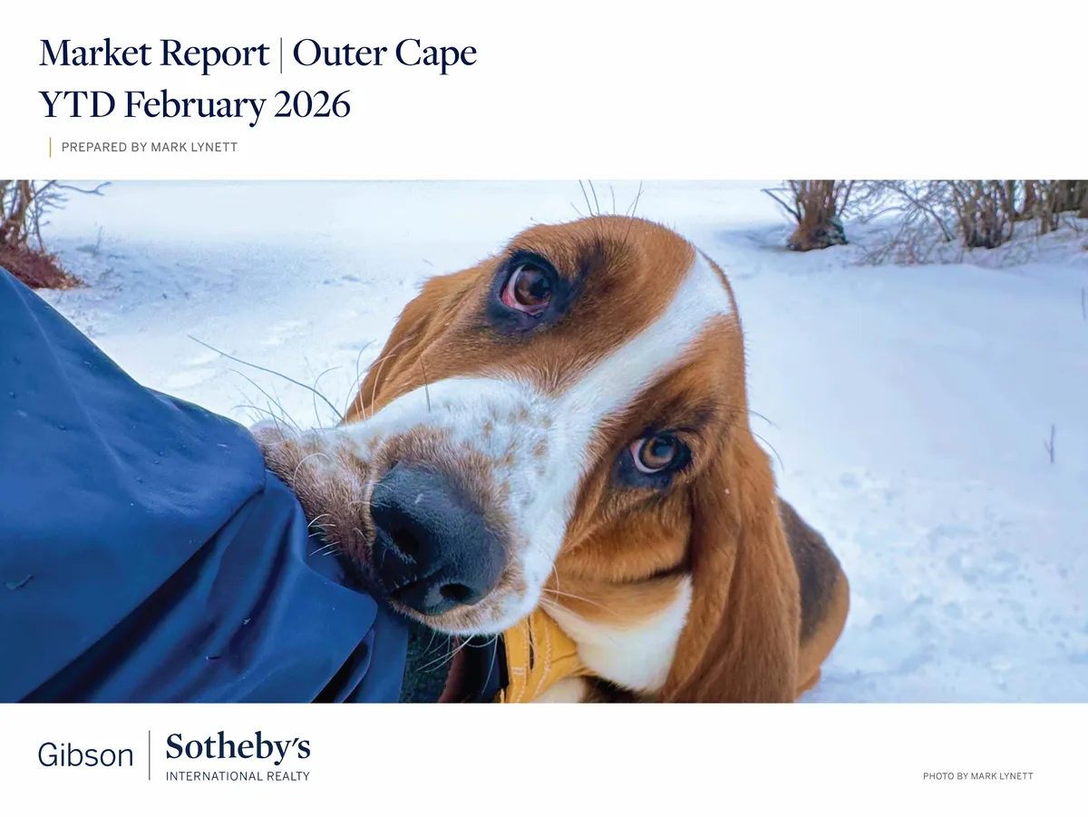 Basset hound in the snow on Cape Cod - February 2026 market report cover