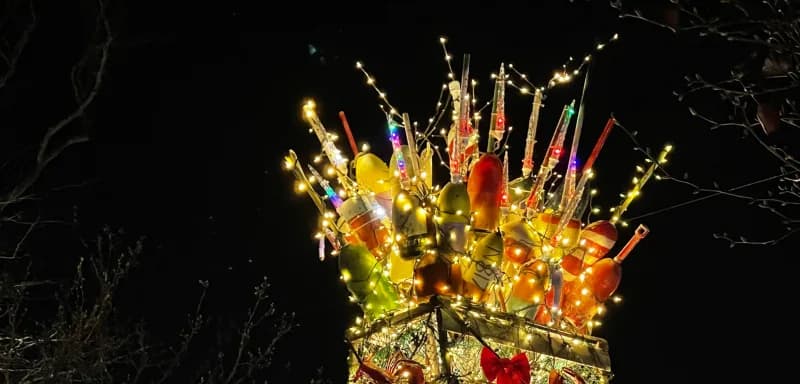 November 2025 Report