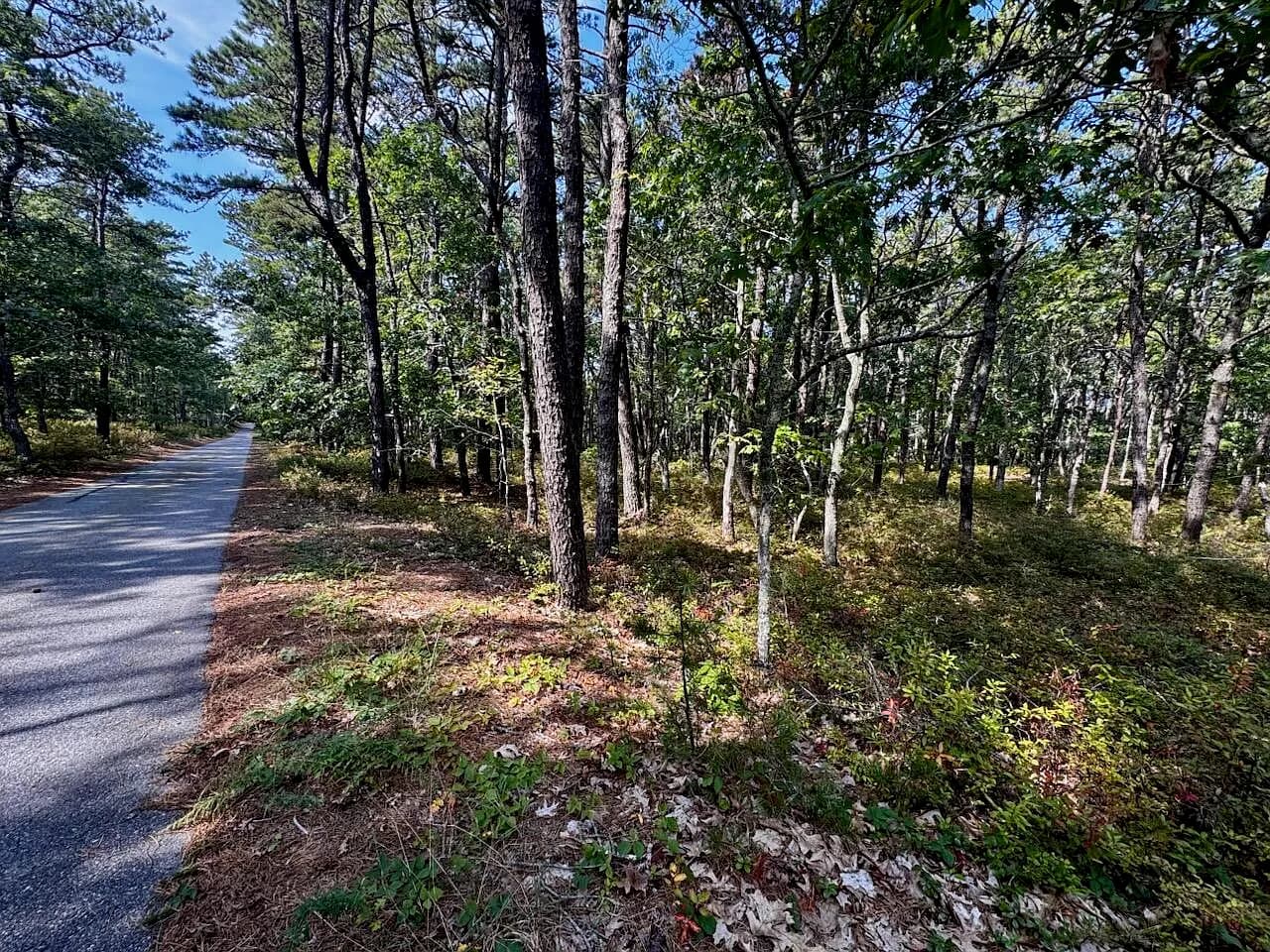 175 Delphi Path - Photo 1