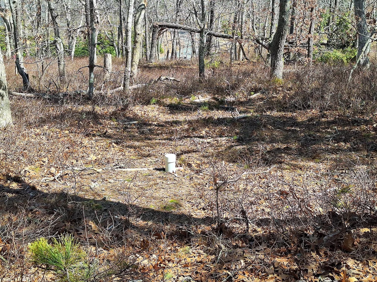 37 Oak Valley Road - Photo 6