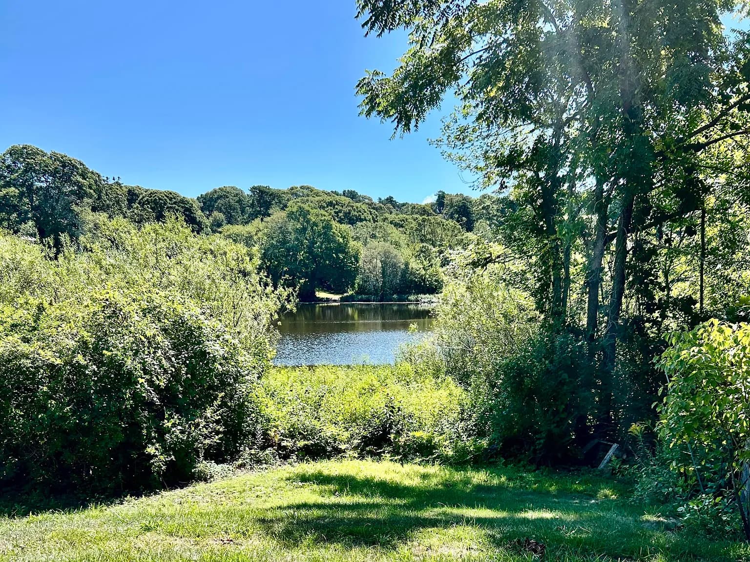 1580 Main Street - Photo 2