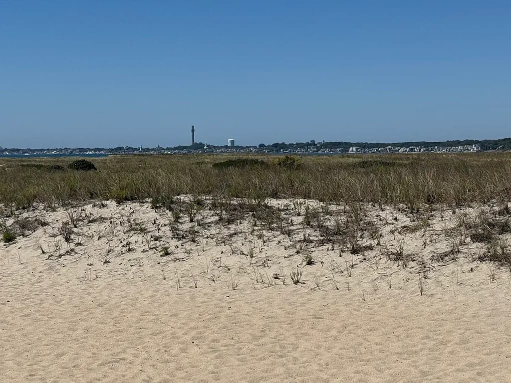 658 Shore Rd #8 - Photo 5