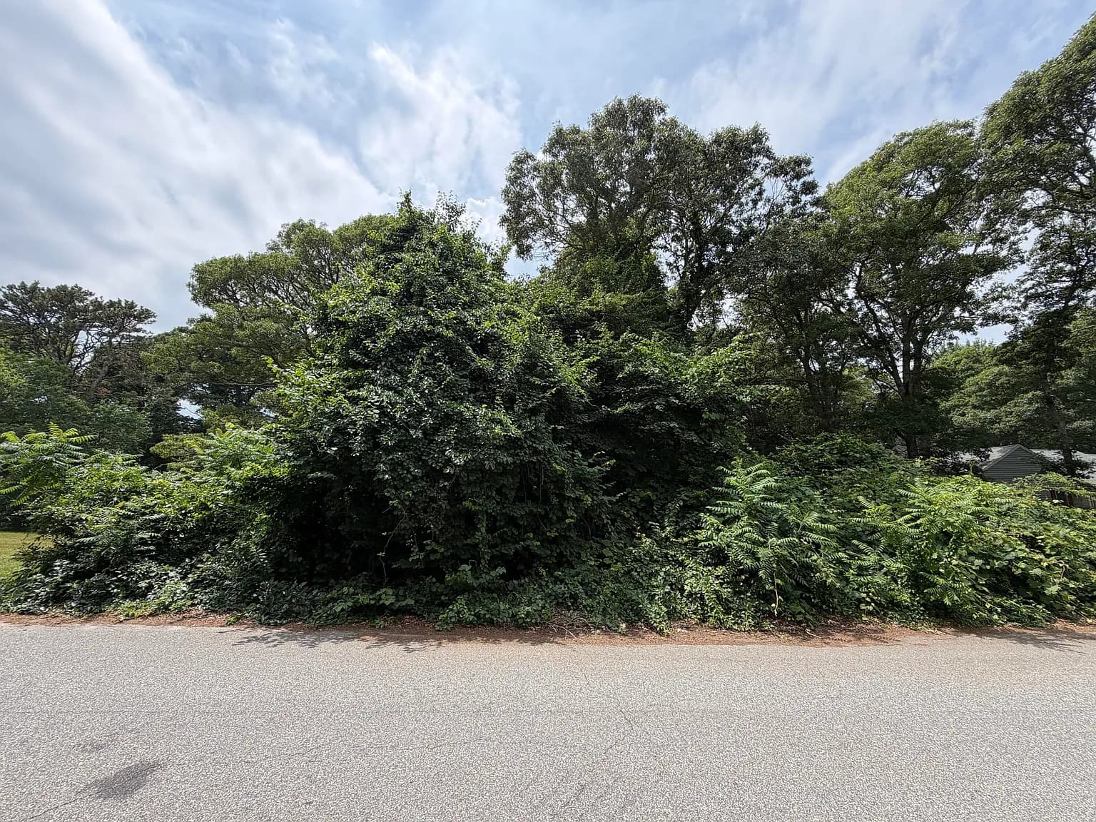 21 Tobey Way, Hyannis