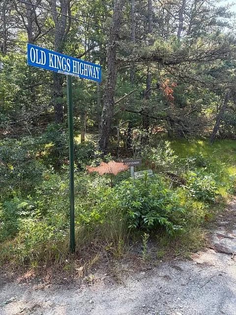 63 Old Kings Highway - Photo 2