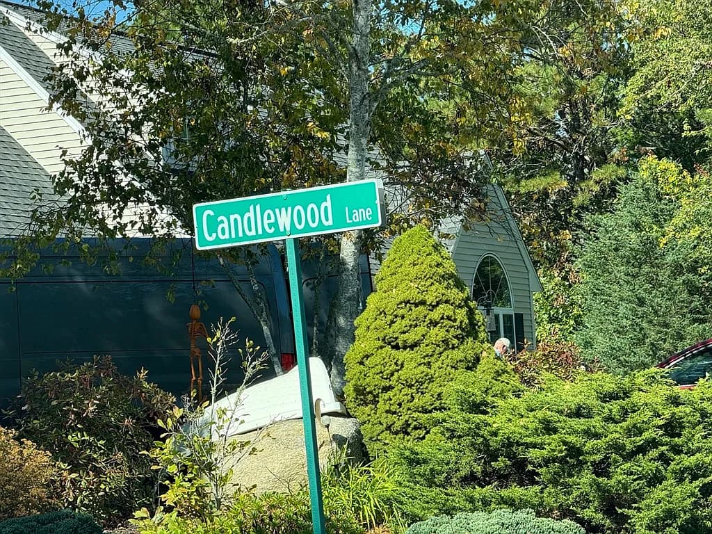 45 Fox Hill Rd - Photo 4