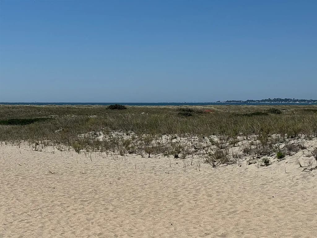 658 Shore Rd #8 - Photo 6