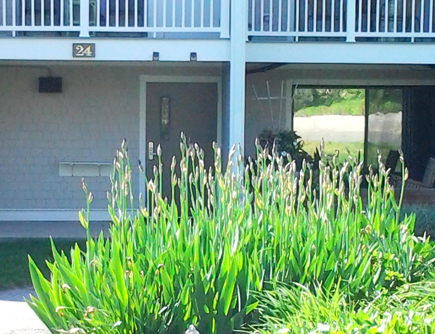 24 Old Colony Way APT 19, Orleans