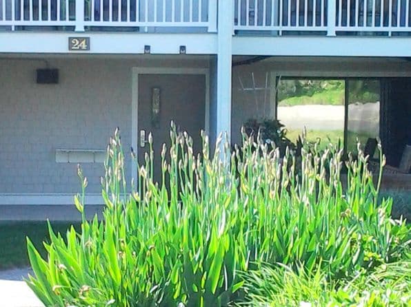 24 Old Colony Way APT 19, Orleans