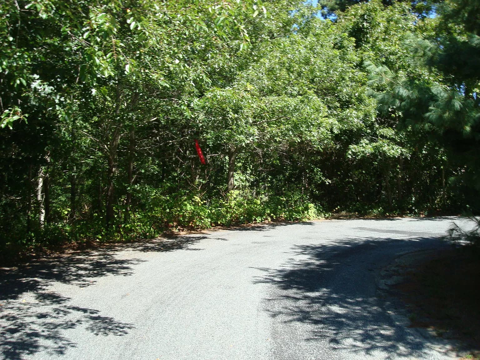 44 Iris Lane - Photo 4