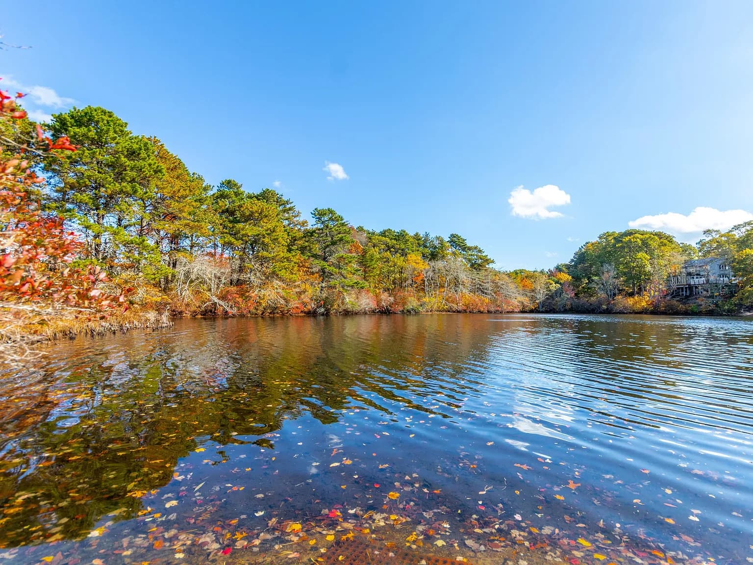 42 Fells Pond Road - Photo 2