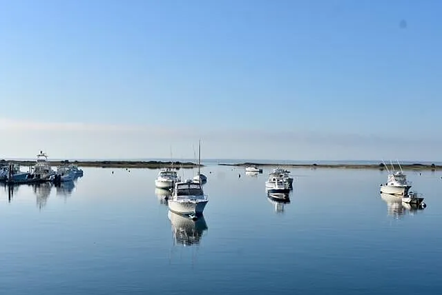 Lot 2 Pine Grove Avenue - Photo 2