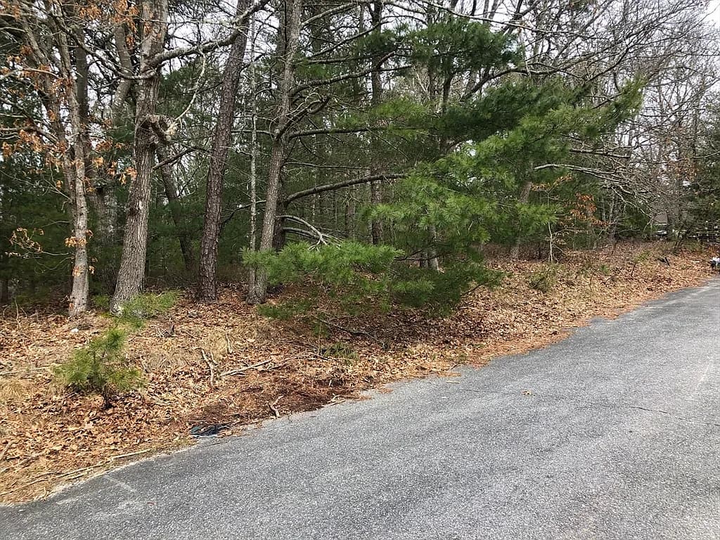 30 Wings Ln - Photo 2