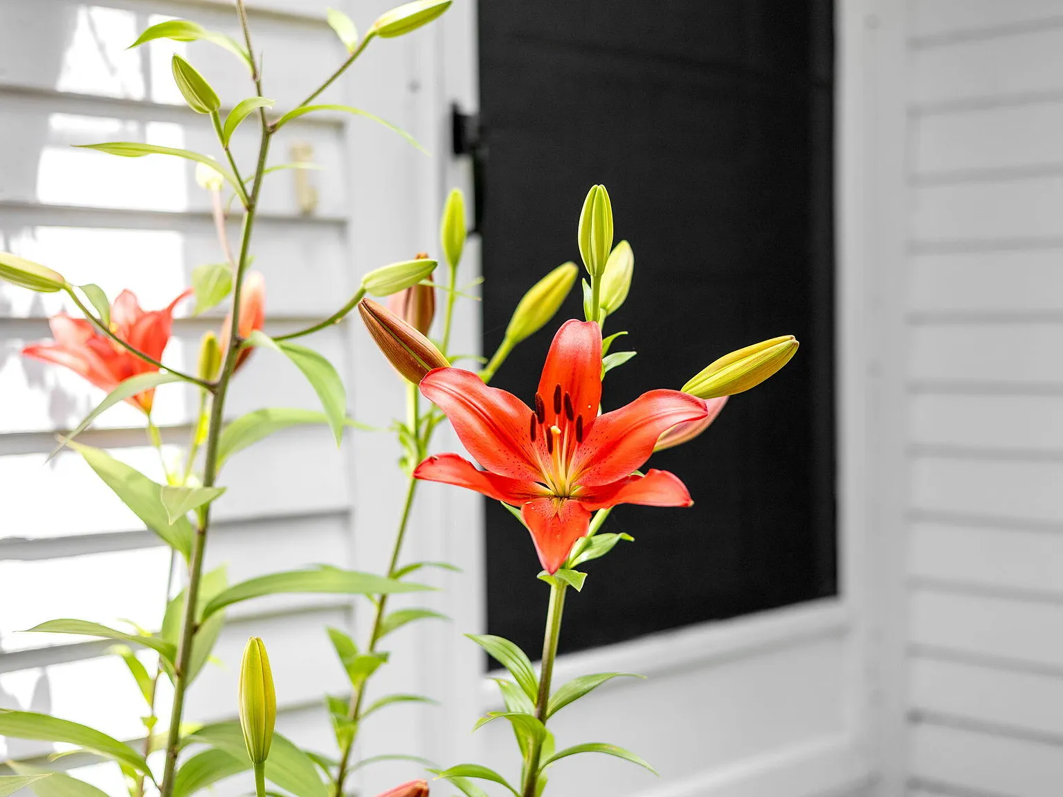 33 Duck Marsh Lane - Photo 4