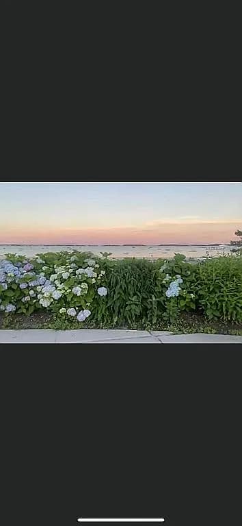 230 Gosnold St #8C - Photo 6