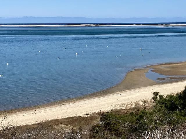 238 Cranberry Lane - Photo 6