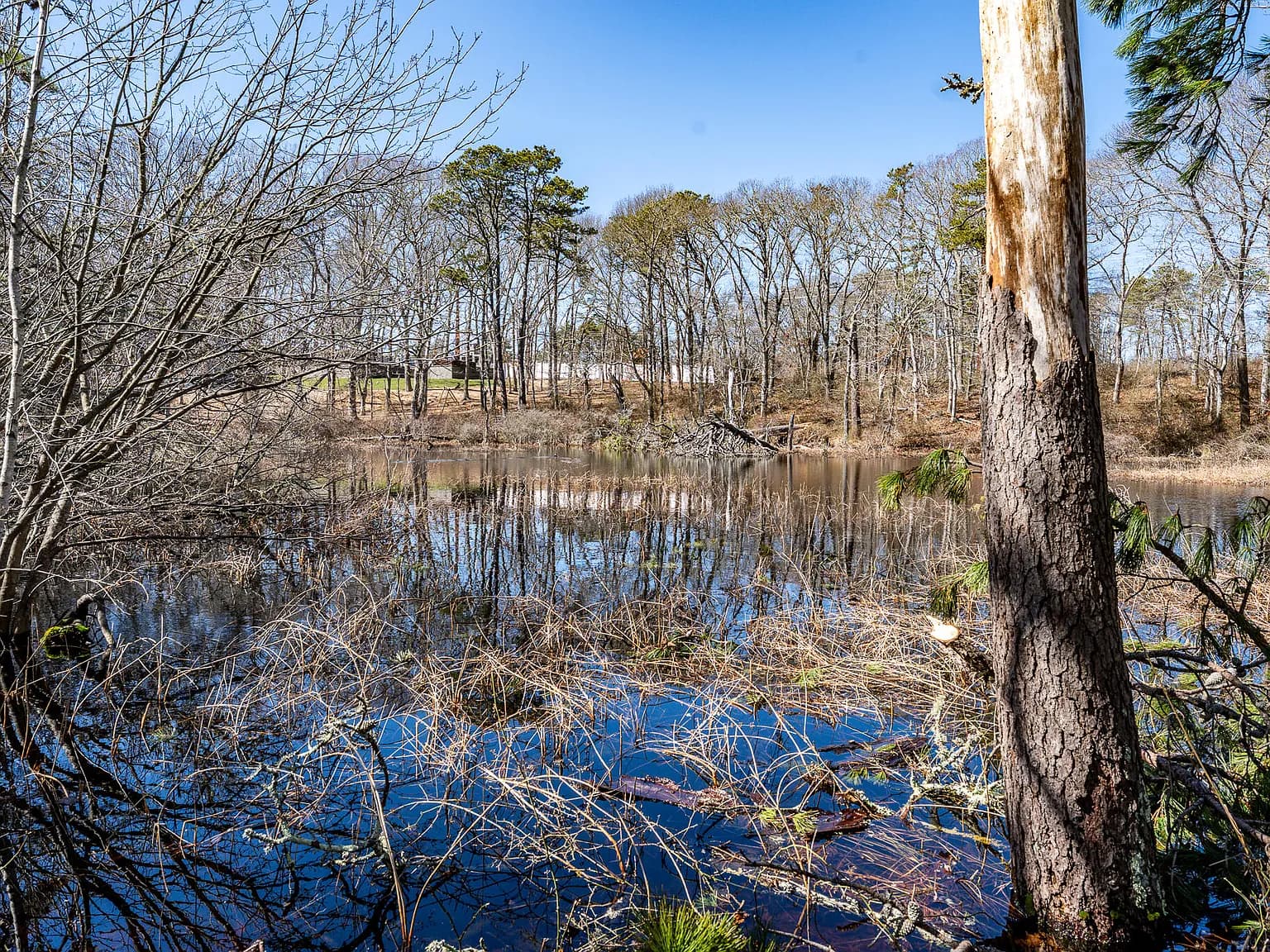 6 Clinton Drive - Photo 5