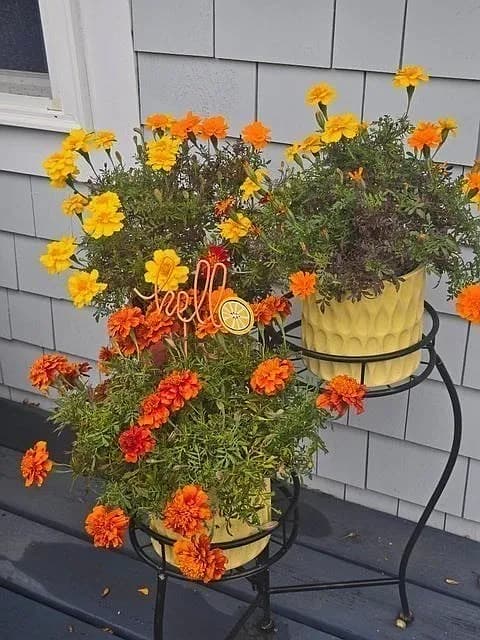 292 Massachusetts #28-7 - Photo 3