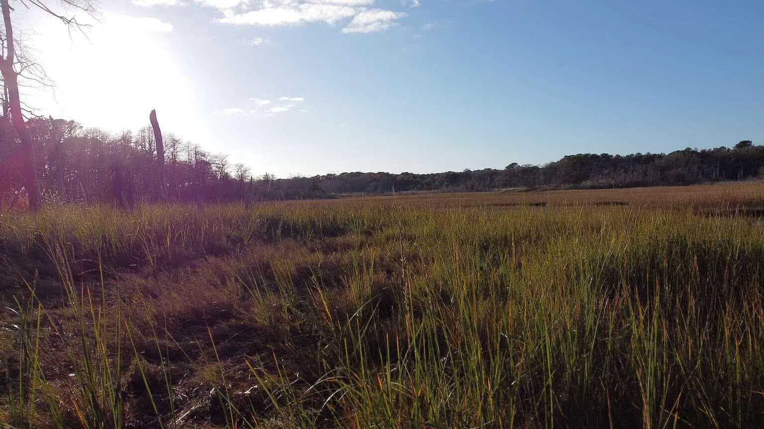 27 Angus Avenue - Photo 6