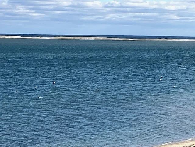 238 Cranberry Ln - Photo 2