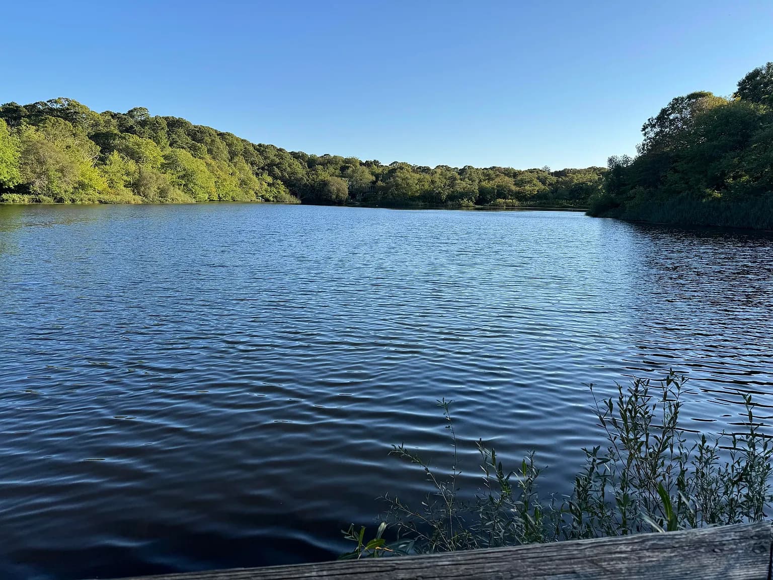 1580 Main Street - Photo 1