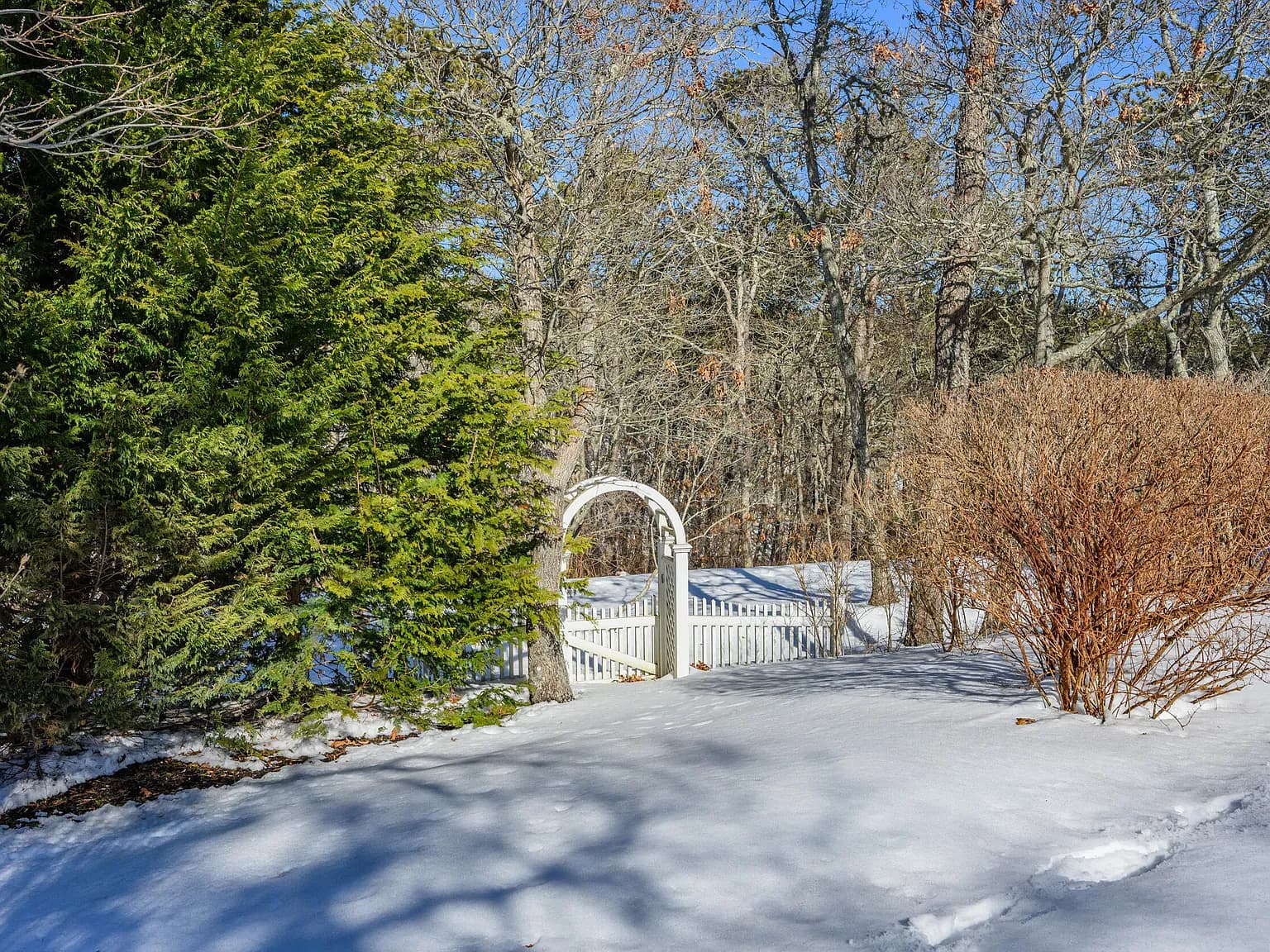 39 Jedidiah Way - Photo 6