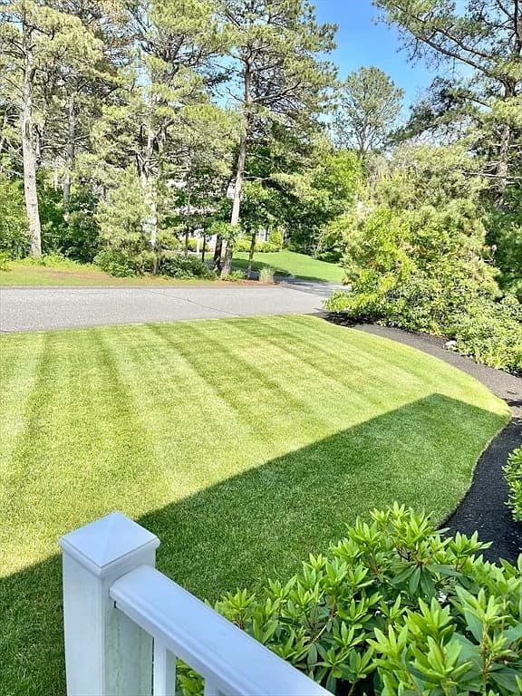 12 Wintergreen Rd - Photo 6