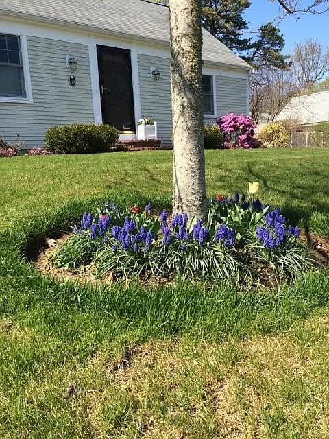 121 Eileen Street - Photo 1