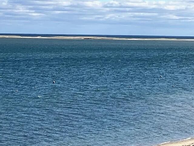 238 Cranberry Lane - Photo 1