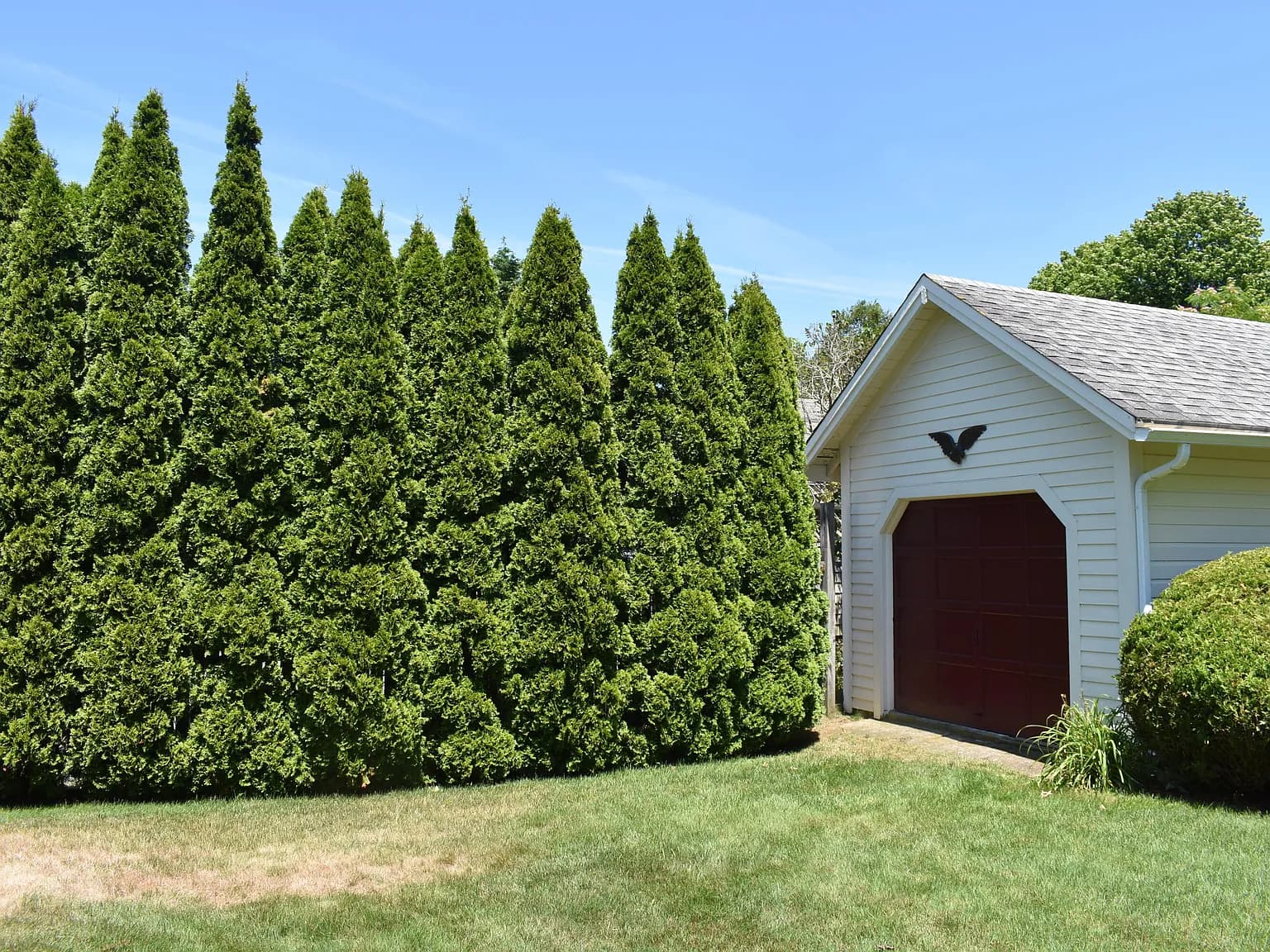 34 Fisk Street - Photo 4