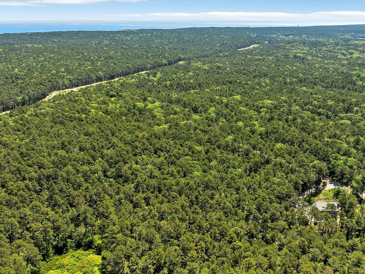 175 Delphi Path - Photo 5