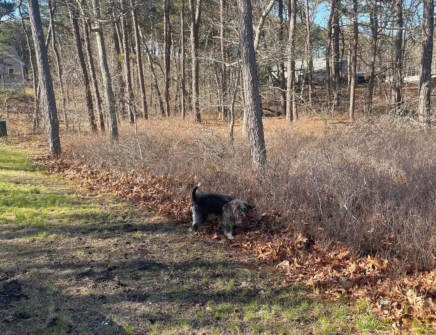 30 Sam Hollow Road - Photo 3