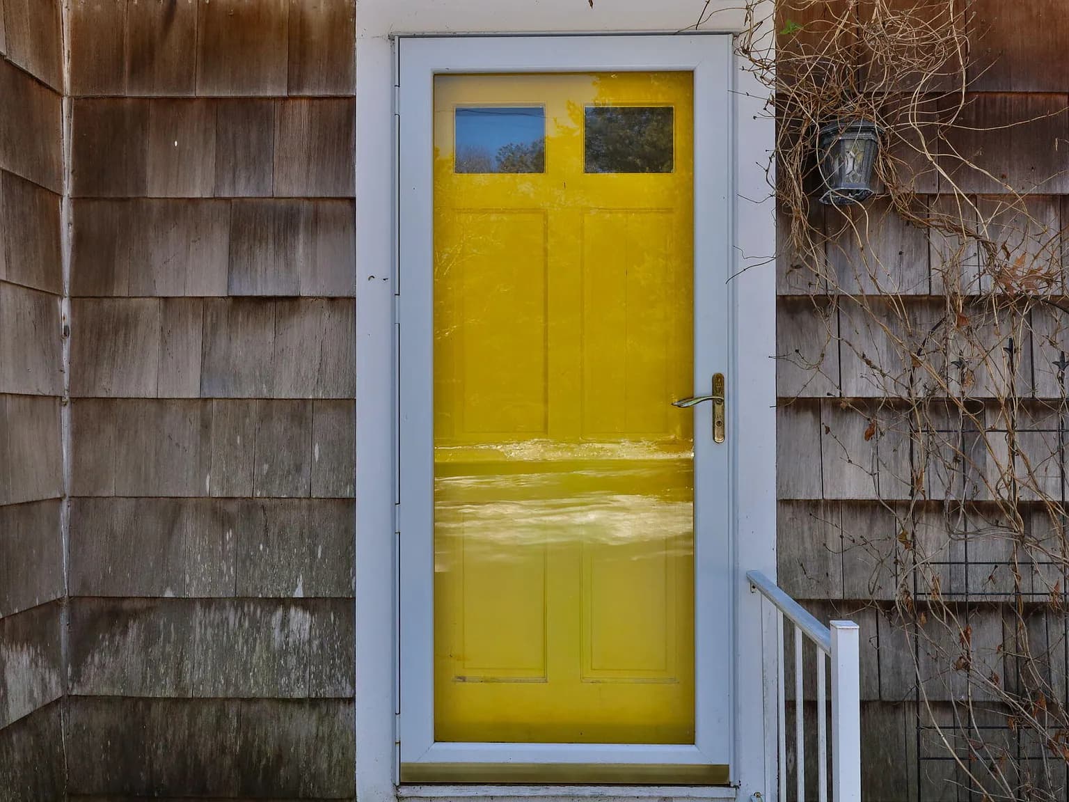 351 Swift Avenue - Photo 3