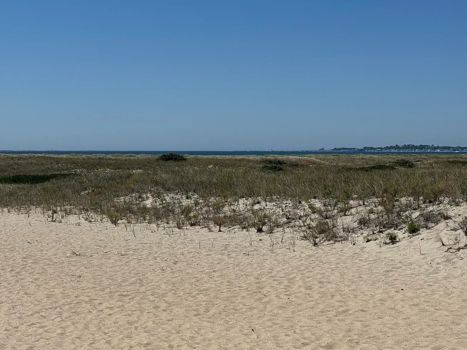 658 Shore Road #8 - Photo 6