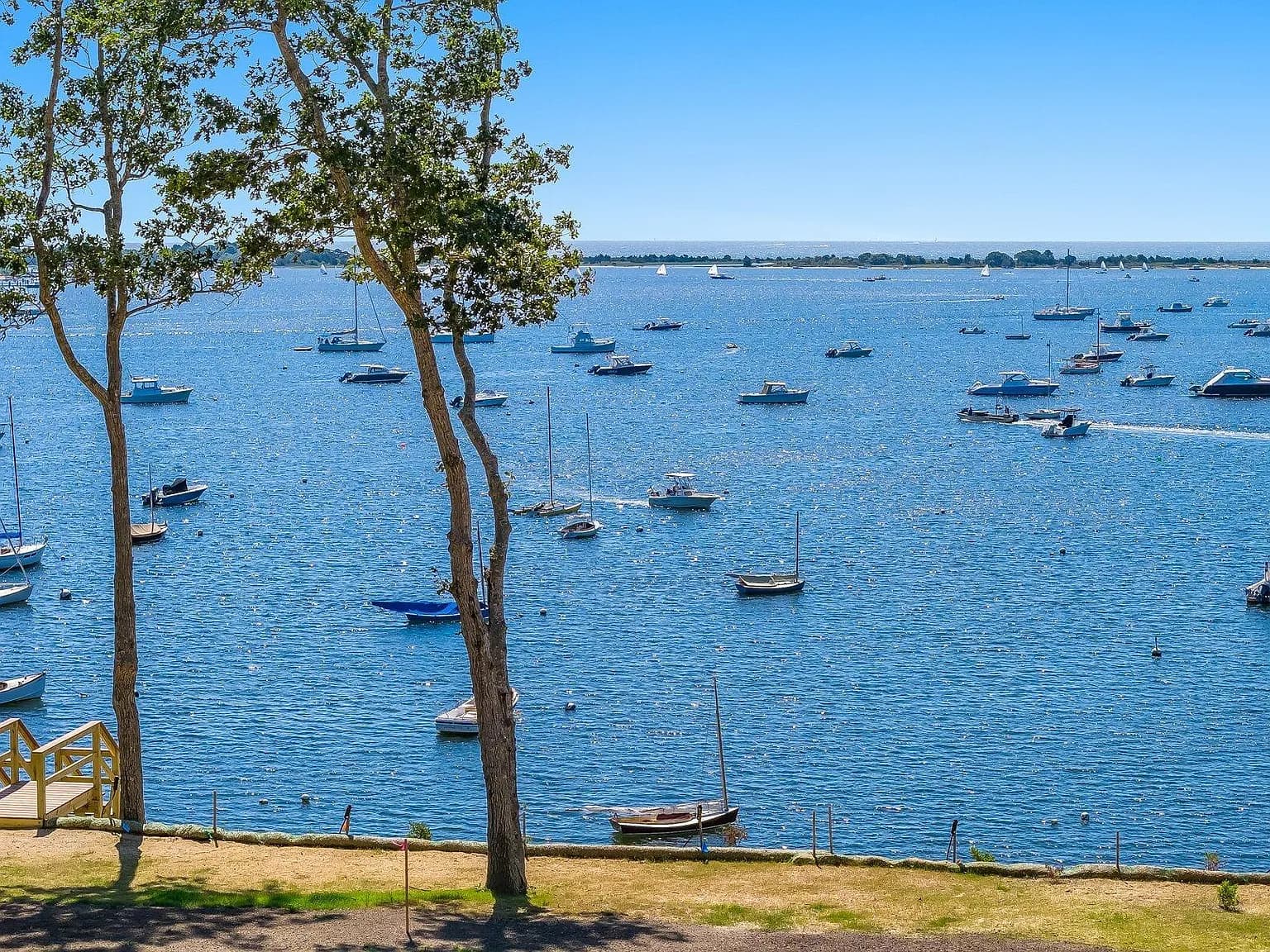 135 Putnam Avenue (Land) - Photo 6