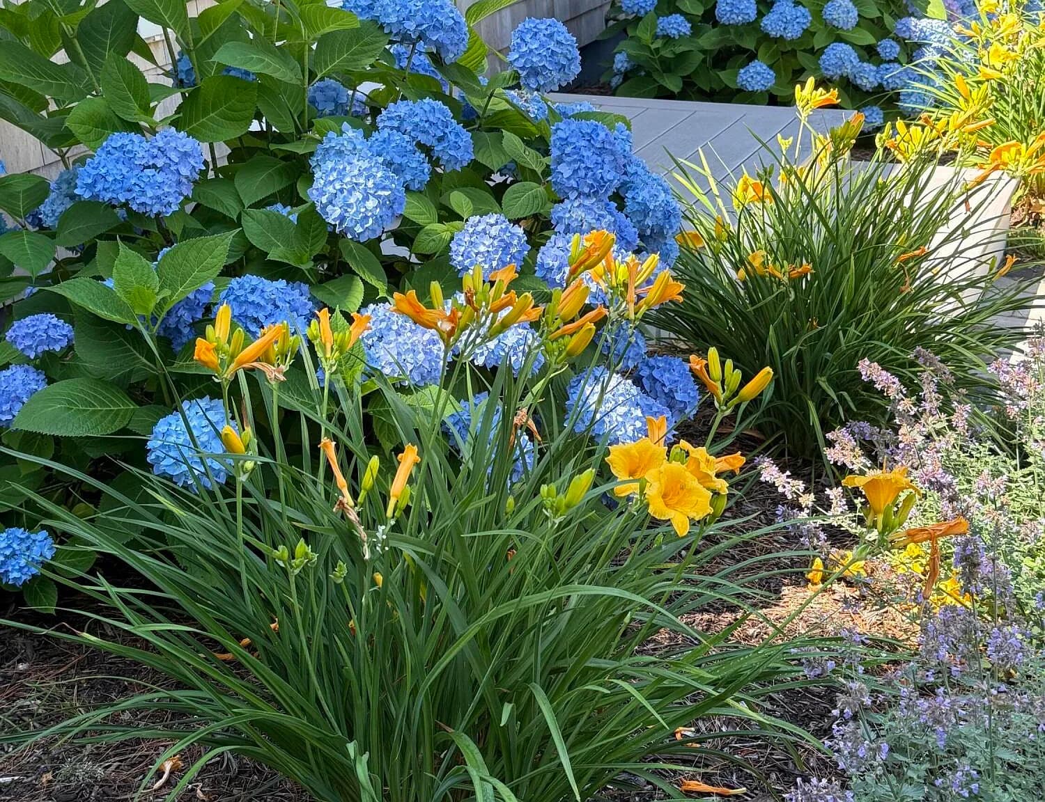 9 Victory Lane - Photo 2