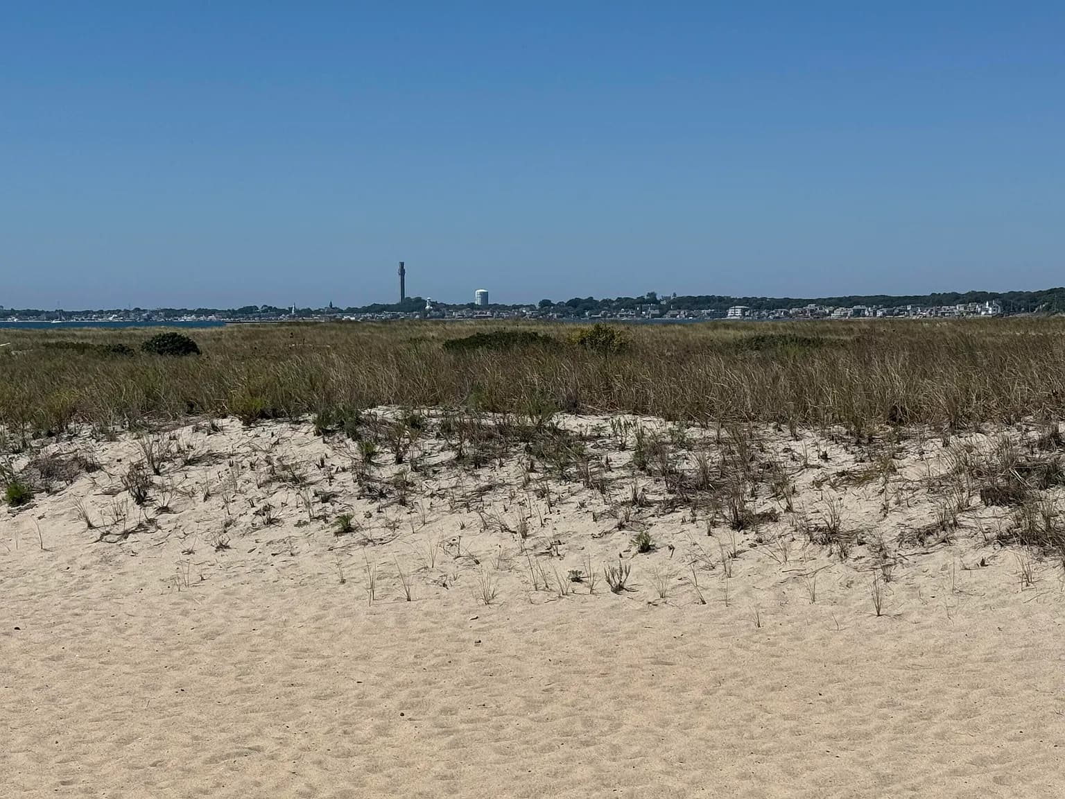 658 Shore Road #8 - Photo 5