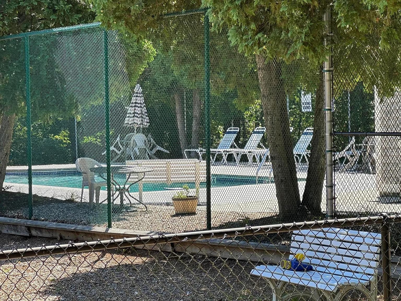 10 Shadbush Circle - Photo 5