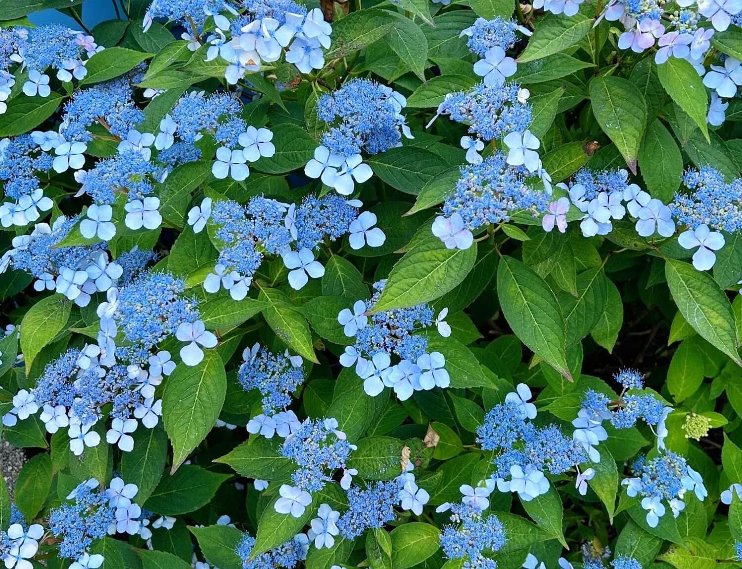 337 Jonathans Way - Photo 5