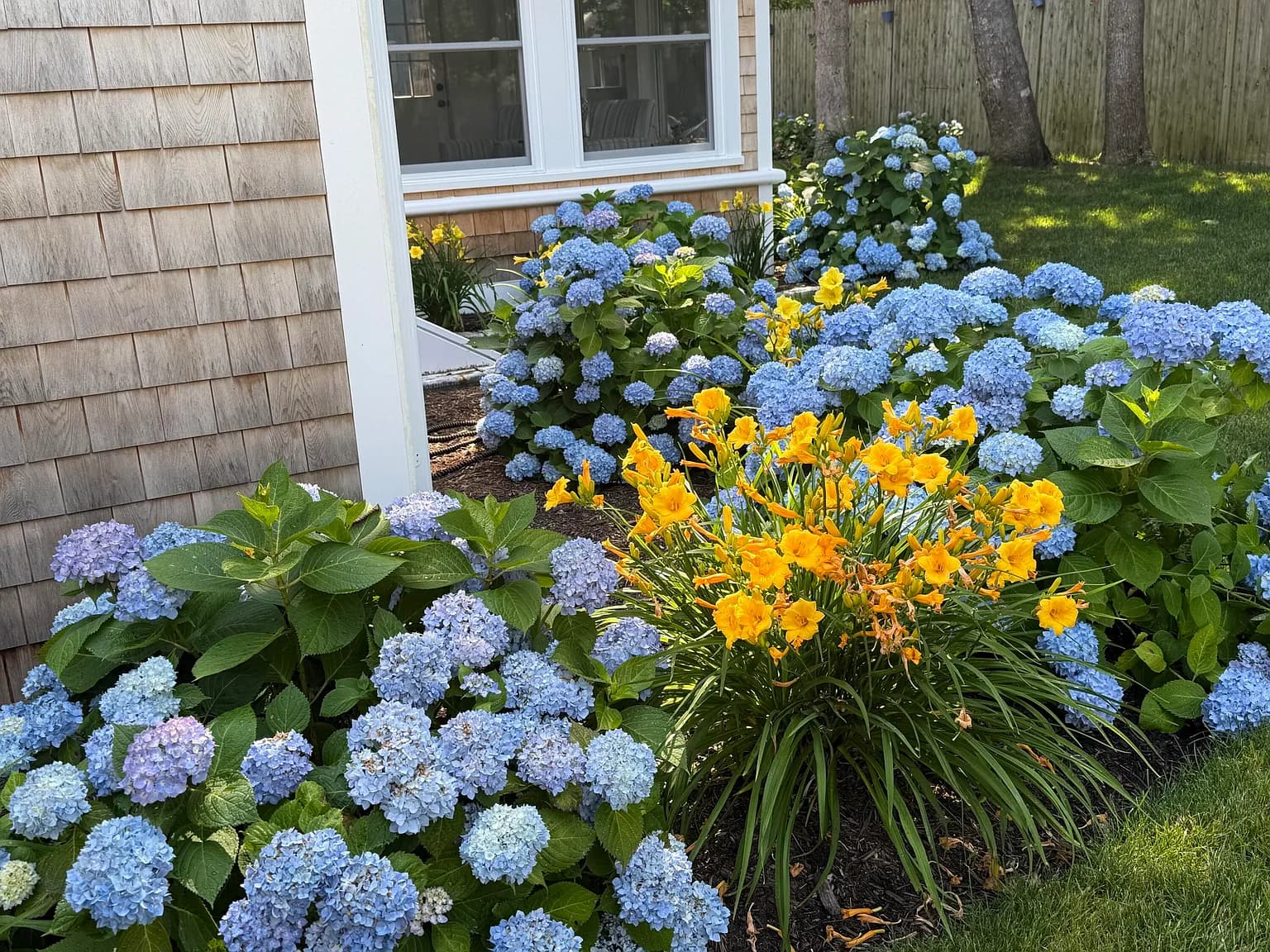 9 Victory Lane - Photo 6