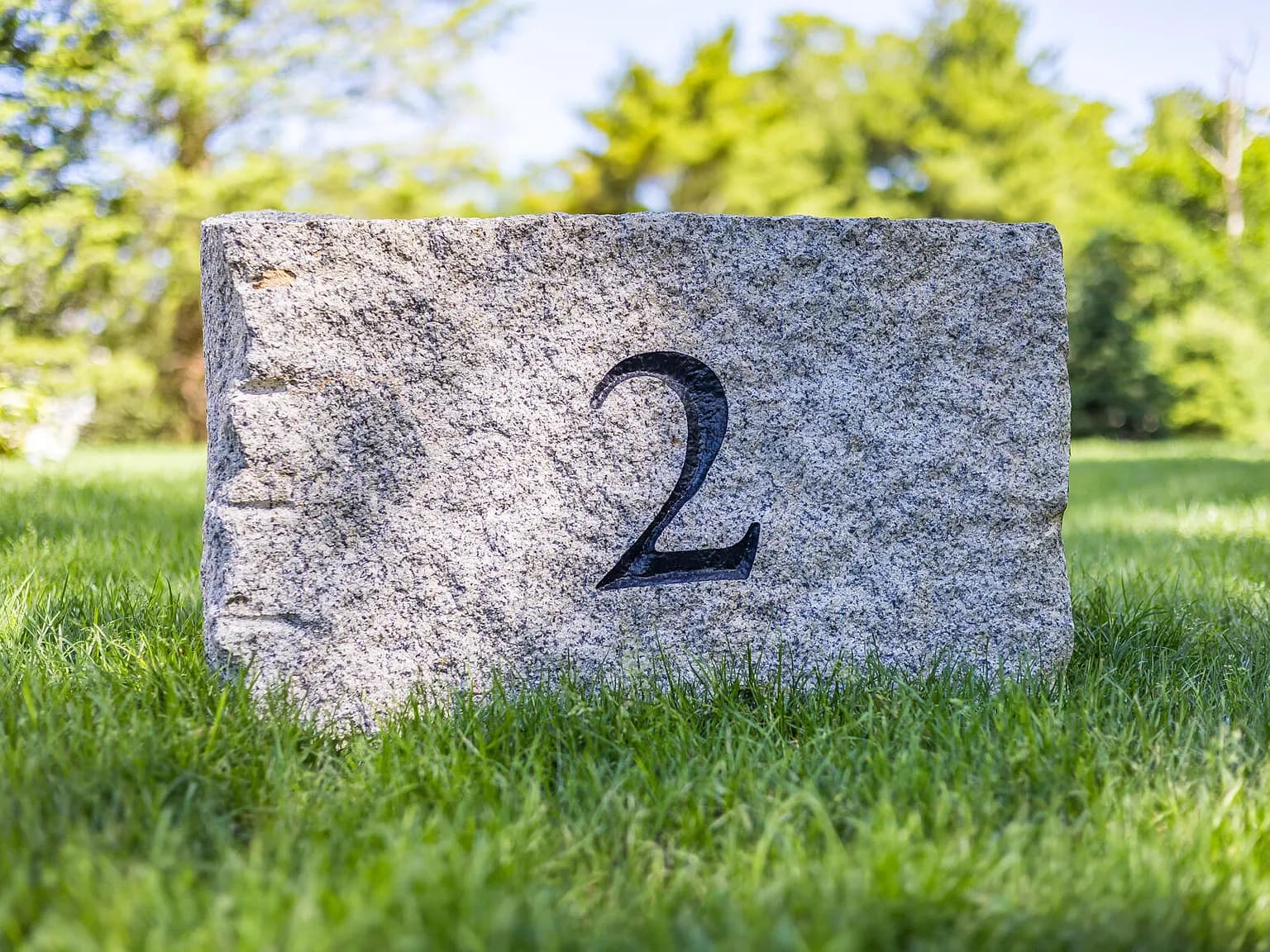 2 Monomoy Lane - Photo 3