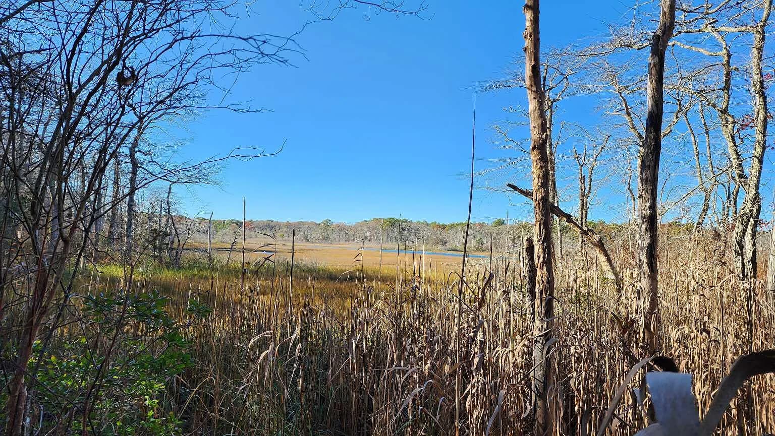 17 Angus Avenue - Photo 5