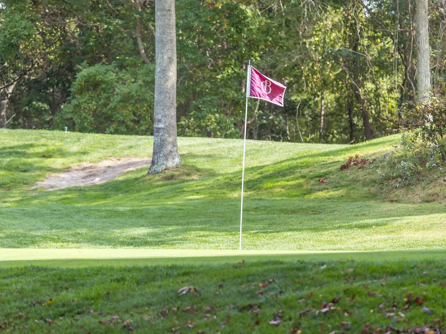 4 Hollyhock Knoll Court UNIT 4 - Photo 2