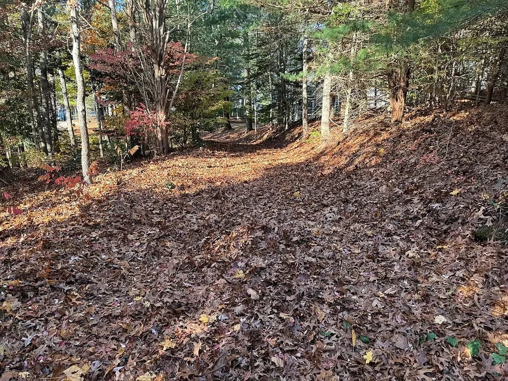 60 Richards Ln - Photo 4