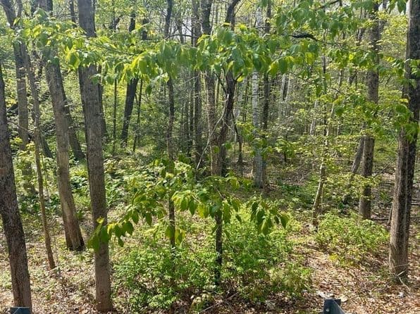 45 Fox Hill Rd, Mashpee