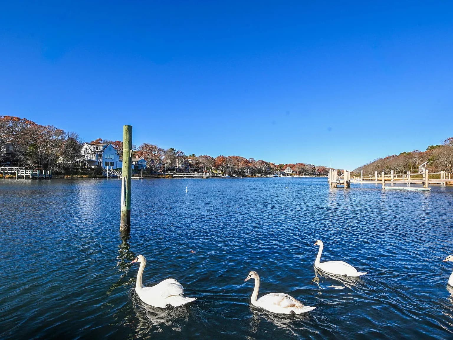 5 Rivers View Road - Photo 6