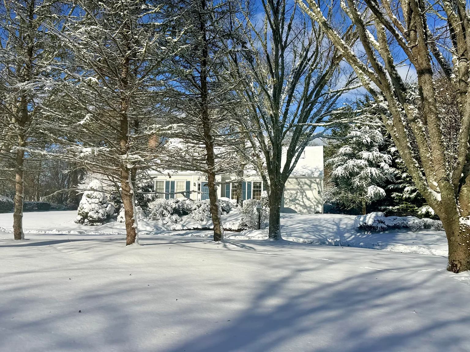 39 Jedidiah Way - Photo 3