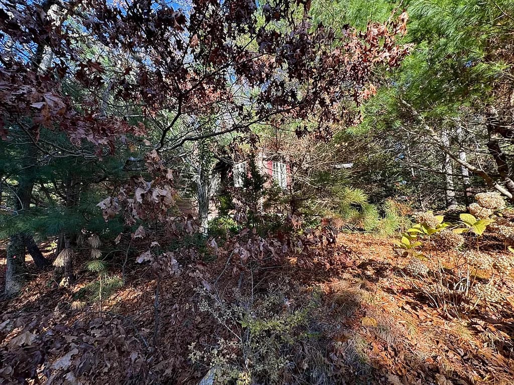 60 Richards Ln - Photo 2