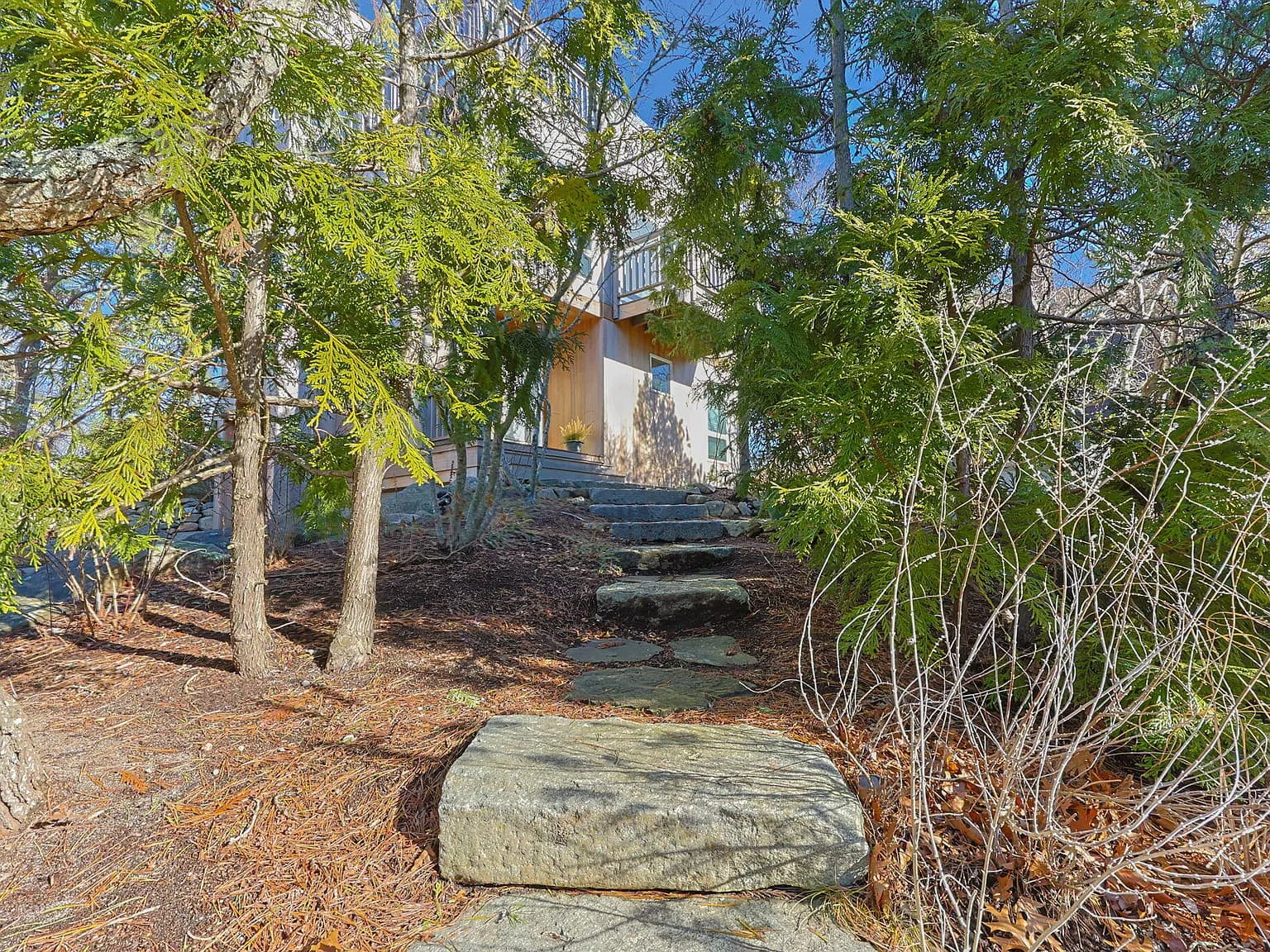 9 Thistlemore Road - Photo 3