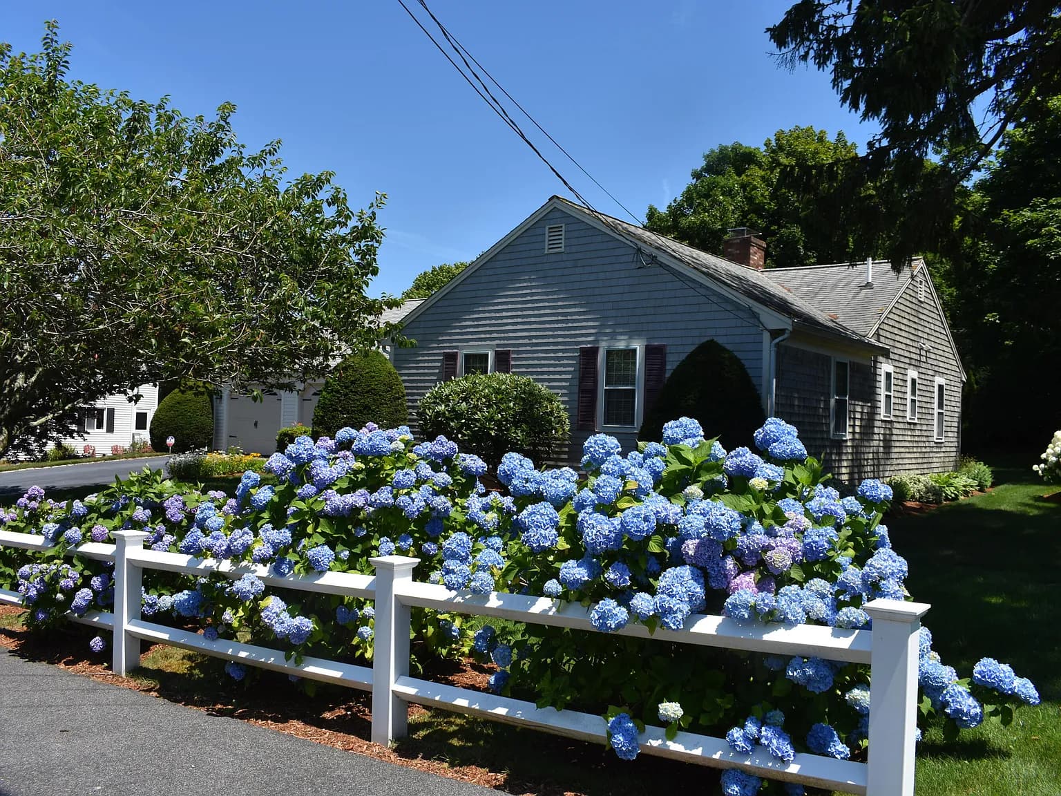 34 Fisk Street - Photo 1